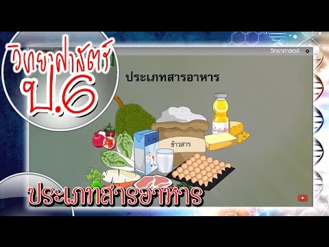 ประเภทสารอาหาร - วิทยาศาสตร์ ป.6