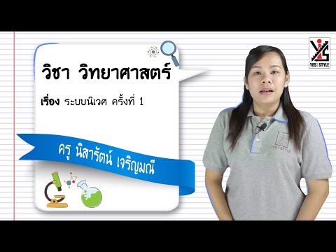 วิทยาศาสตร์ ม.3 ตอนที่ 2 ระบบนิเวศ Part 1 - Yes iStyle