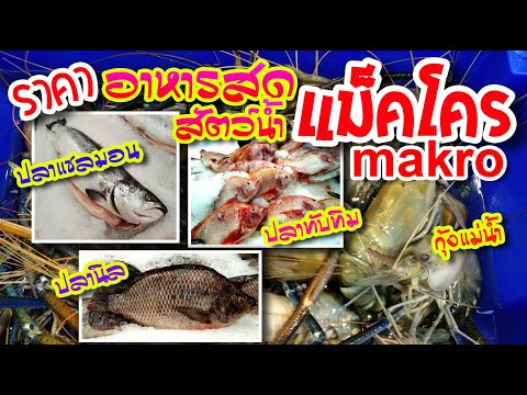 ราคาอาหารสด ปลาแซลมอน ปลานิล ทับทิม ปลาช่อน ปลาดุก กุ้ง ปูม้า หอย กบ ห้างแม็คโคร makro  @ikidartTV