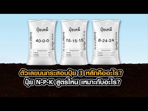 ตัวเลขบนกระสอบปุ๋ย 3 หลักคืออะไร?? ปุ๋ย N P K สูตรไหน!!  เหมาะกับอะไร??