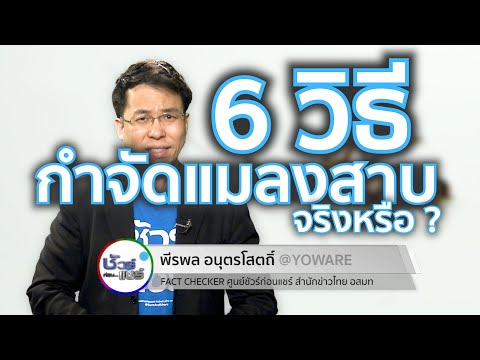 ชัวร์ก่อนแชร์ : 6 วิธีกำจัดแมลงสาบ ใช้ได้จริงหรือ ?