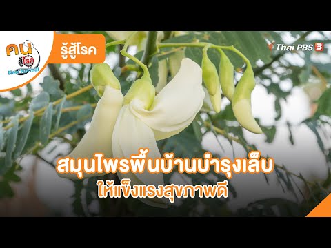 สมุนไพรพื้นบ้านบำรุงเล็บให้แข็งแรงสุขภาพดี | รู้สู้โรค