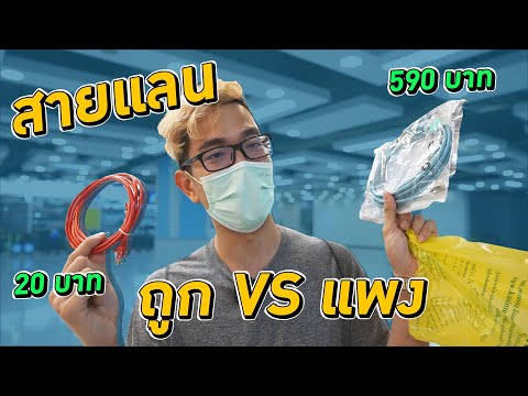 สาย LAN ถูก VS แพง ความแรงเน็ตต่างกัน ???