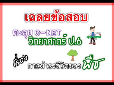 ตะลุย O-NET วิทยาศาสตร์ ป.6 || พาเฉลยข้อสอบ ...เรื่อง การดำรงชีวิตของพืช