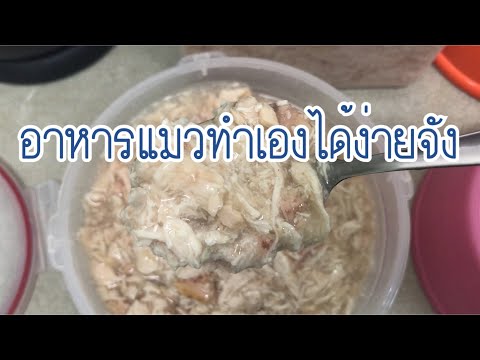 อาหารแมวทำเองได้ง่ายจัง version 1 | ป้ามาแชร์