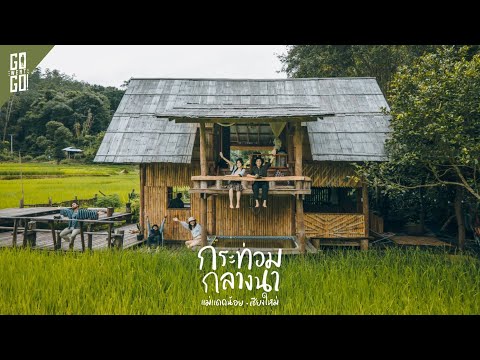 โฮมสเตย์​ ทุ่งนากลางหุบเขา​ สวยและดีมาก​ ที่เชียงใหม่​ | VLOG​ | Gowentgo