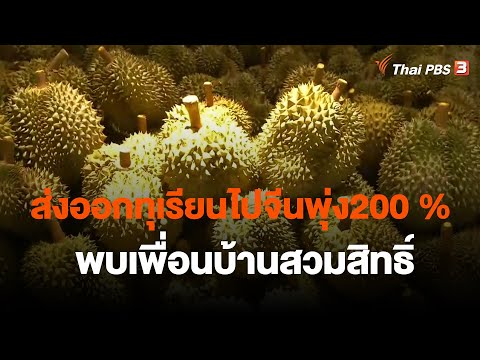 ส่งออกทุเรียนไปจีนพุ่ง200 % - พบเพื่อนบ้านสวมสิทธิ์ | วันใหม่ ไทยพีบีเอส | 22 พ.ค. 66