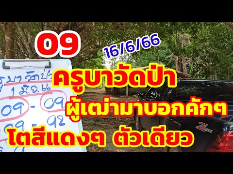 ครูบาวัดป่า ผู้เฒ่ามาบอก ตัวนี้ตัวเดียว หลัง09เต็มๆ 16/6/66