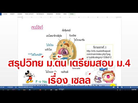 สรุปวิทยาศาสตร์ ม ต้น เรื่อง เซลล์  01