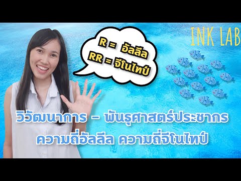 🧬วิวัฒนาการ 1 : ความถี่อัลลีล ความถี่จีโนไทป์ | พันธุศาสตร์ประชากร [Biology#12]