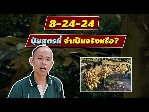 8-24-24 สูตรนี้จำเป็นจริงหรือ เมื่อพืชออกดอก