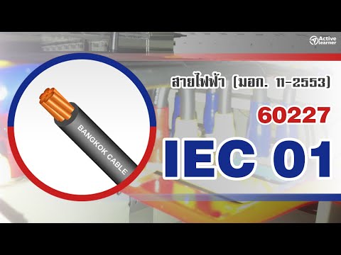 สายไฟฟ้า IEC 01 (มอก.11-2553)
