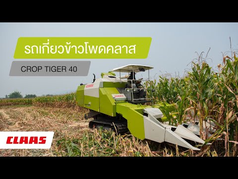 รถเกี่ยวข้าวโพดคลาส CROP TIGER 40.