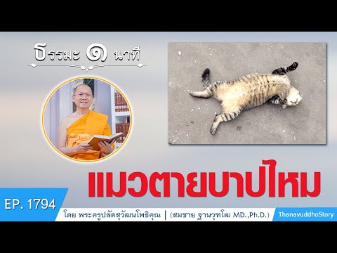 แมวตายบาปไหม | EP 1794 | 25-09-64 | ThanavuddhoStoryOfficial