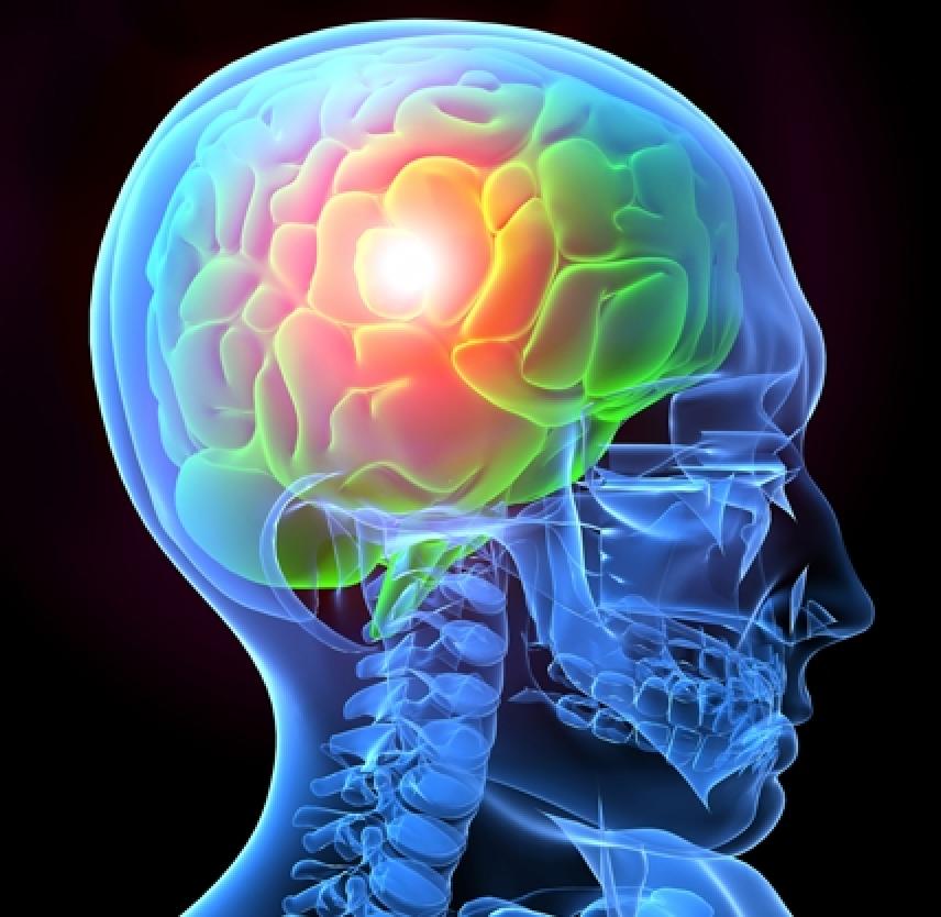 Traumatic Brain Injury Basics | Brainline