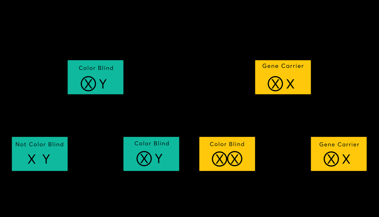 Can Women Be Color Blind | Can Women Have Color Blindness