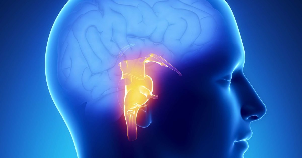 Brain Stem Stroke: Symptoms, Recovery, And Outlook