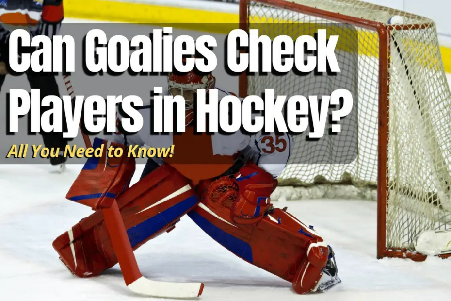 Can Goalies Check Players In Hockey? - Hockey Response