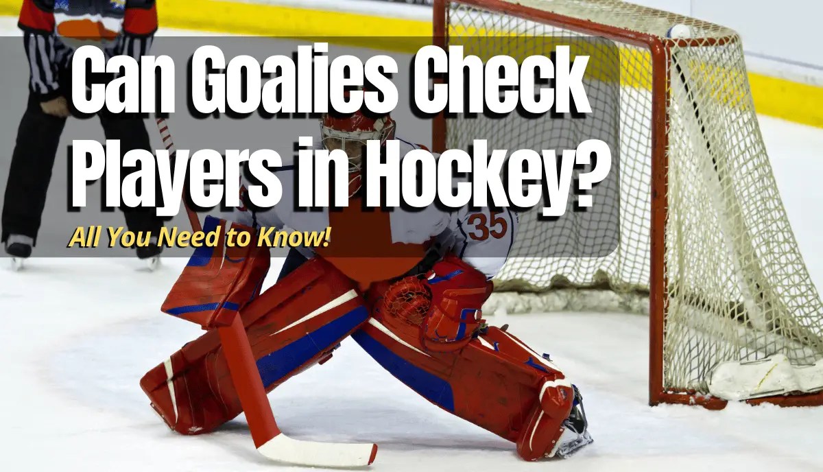 Can Goalies Check Players In Hockey? - Hockey Response