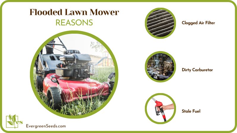 Flooded Lawn Mower: Why It Happens And How To Solve It