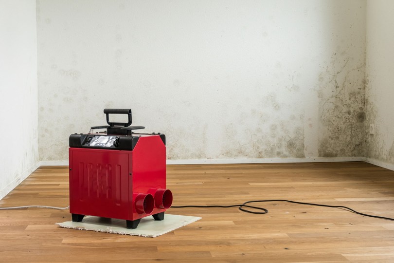 Will A Dehumidifier In The Basement Help The Upstairs? - The Spruce Air