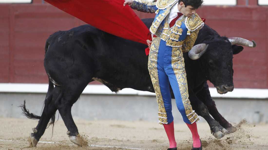 The Eating Of The Bulls: From The Spanish Fighting Ring To The Plate : The  Salt : Npr