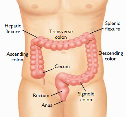 Colonoscopy - Fv Hospital