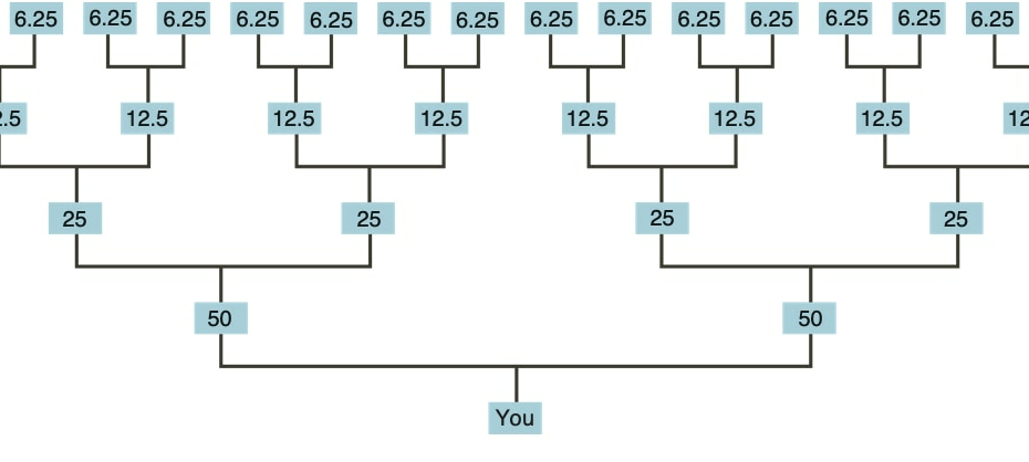 Unexpected Ethnicity Results