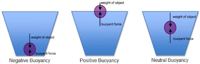 Fluid Statics - Question About Buoyant Force And Weight Of An Object -  Physics Stack Exchange