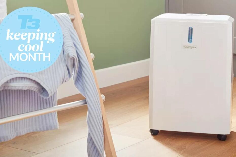 Can I Use My Dehumidifier As A Fan? Yes And Here'S How… | T3