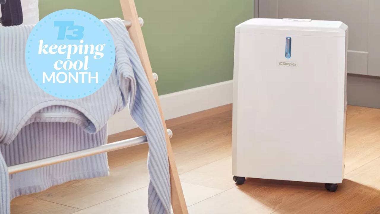 Can I Use My Dehumidifier As A Fan? Yes And Here'S How… | T3