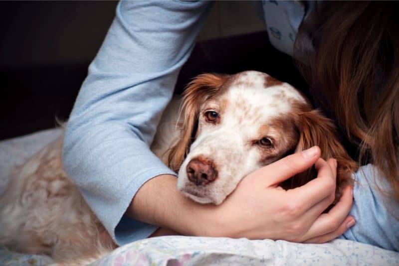 Aspiration Pneumonia In Dogs | Everett Vets