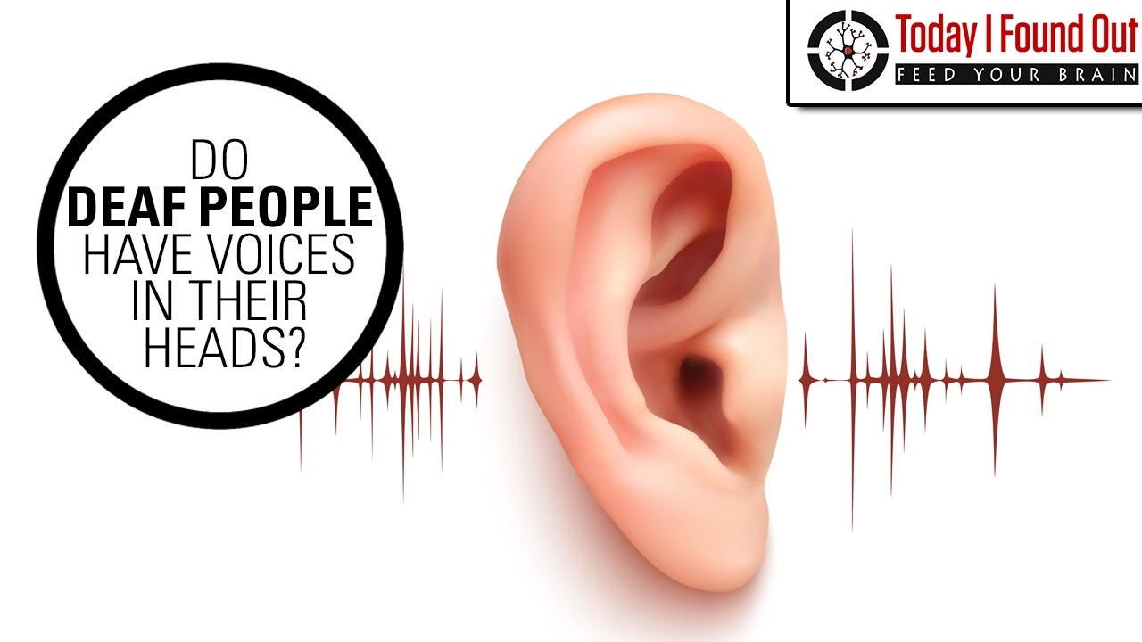 Can Deaf People Hear Their Thoughts - Innocaption — Innocaption