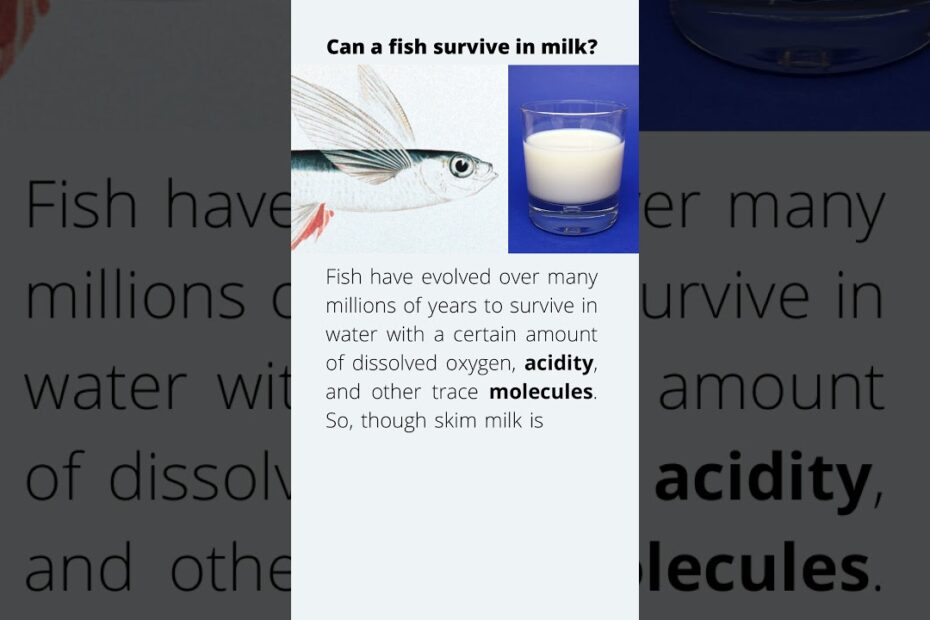 Can A Fish Survive In Milk? - Youtube