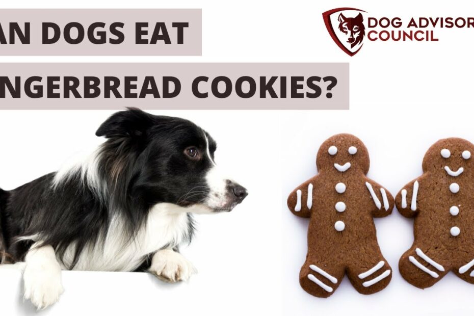 Can Dogs Eat Gingerbread Cookies? (Dog Safe Recipe) - Youtube