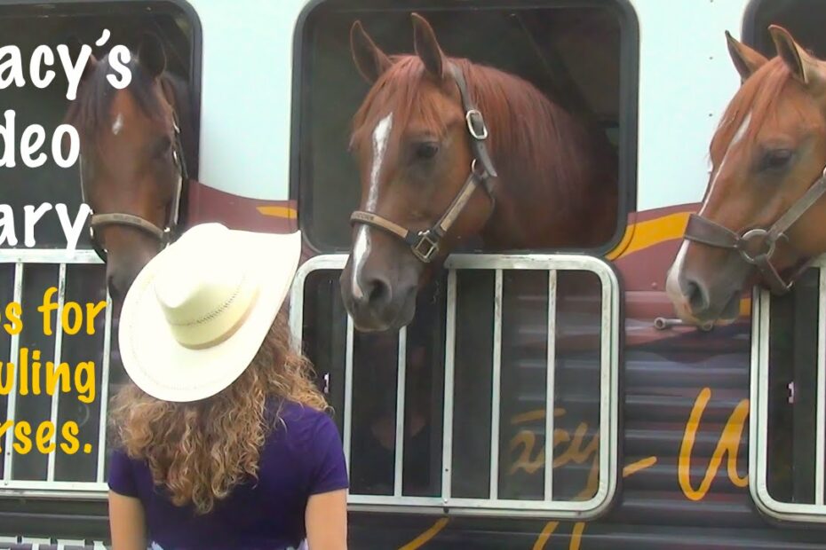 How Long Can A Horse Stay In A Horse Trailer?