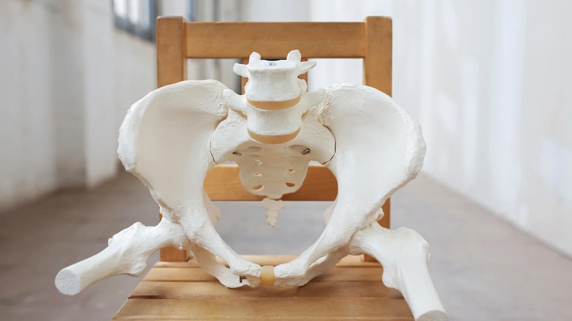 Pelvic Fracture Symptoms: Signs, Recovery Timelines