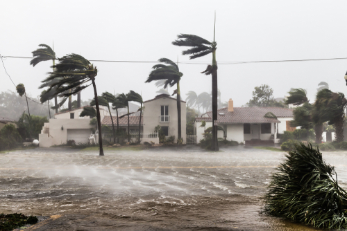 Tsunami Vs. Hurricane: What'S The Difference? • Earth.Com