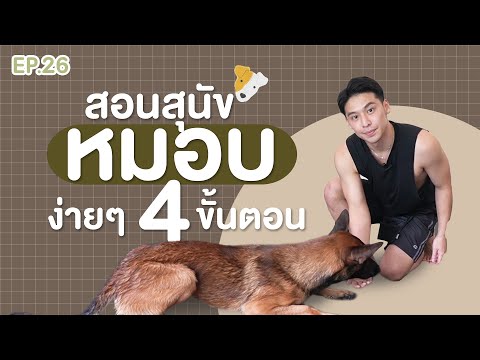 สอนสุนัขหมอบง่ายๆใน 4 ขั้นตอน | EP.26 | บุ๊ค บอก ต่อ