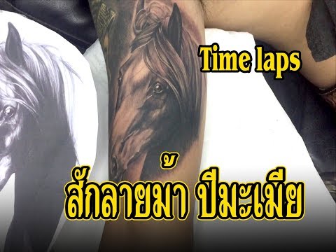 Mong tattoo EP.4 สักลายม้า ปีมะเมีย [Time Laps]