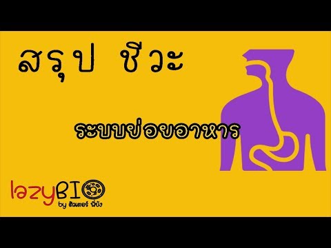 สรุปชีวะ ระบบย่อยอาหาร